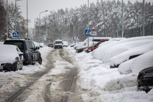 Sauliaus Žiūros nuotr.