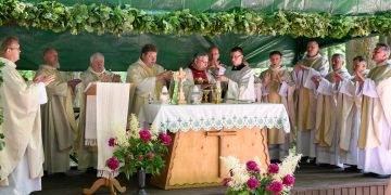 Šv. Mišių koncelebracijai vadovauja Vilkaviškio vyskupas Rimantas Norvila (centre) / Vido Venslovaičio nuotr.