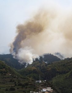 Miško gaisras Tenerifėje jau apėmė 10 000 hektarų plotą / EPA-ELTA nuotr.