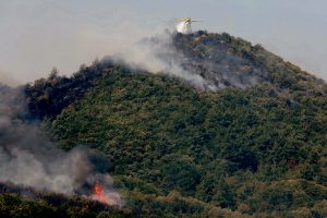 Graikijoje įsiplieskė naujas miško gaisras / EPA-ELTA nuotr.